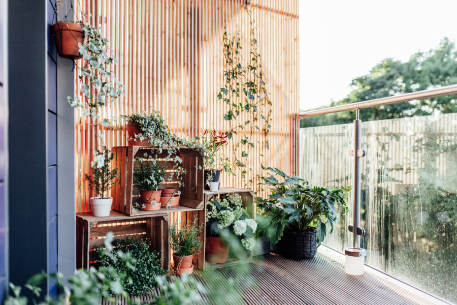 Outdoor plants in balcony
